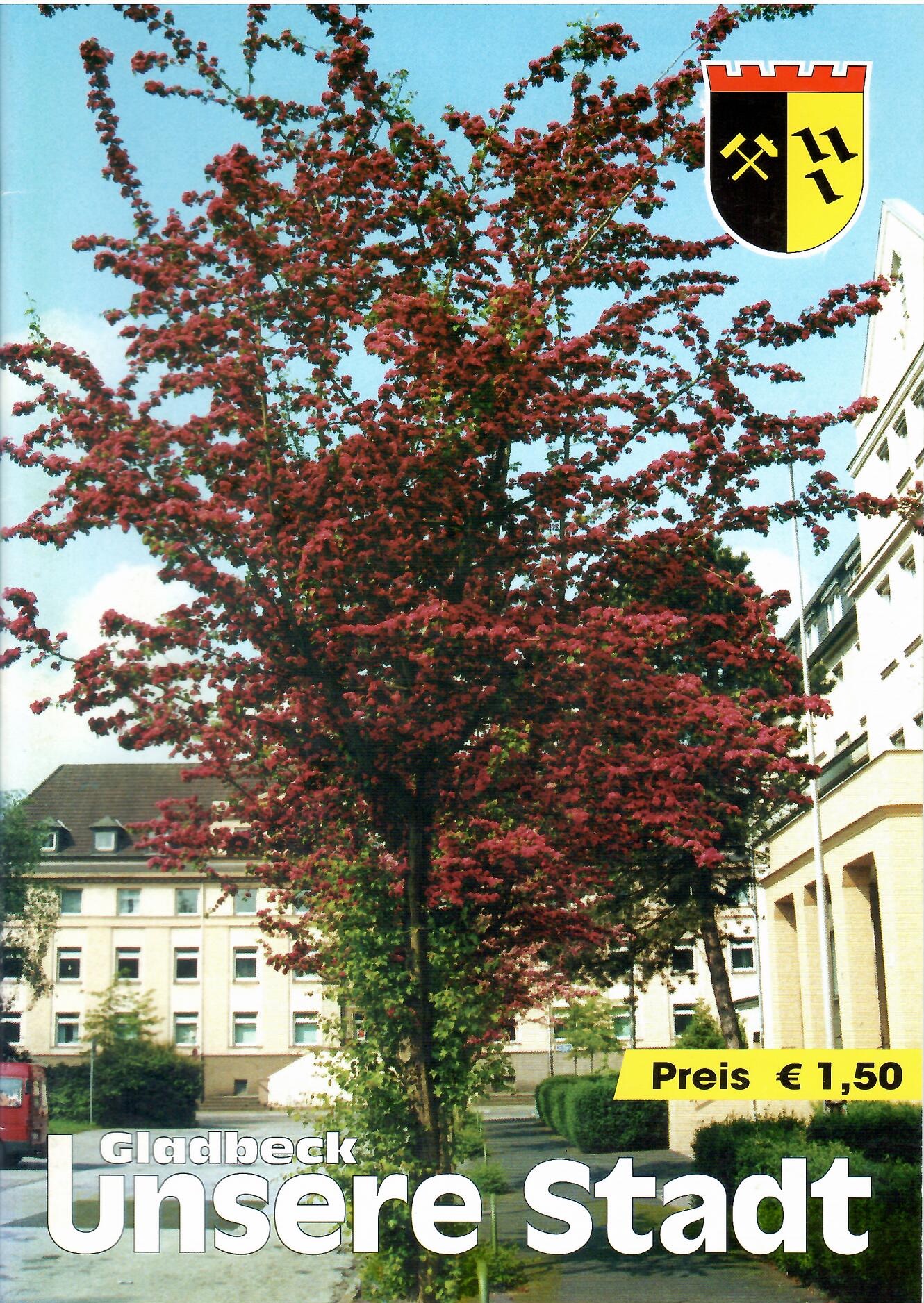 Galerie starten